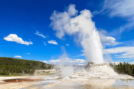 Yellowstone National Park thumb 10